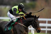 29 December 2010; Captain Paulie, with Barry Geraghty up, during The paddypower.com Android App Maiden Hurdle. Leopardstown Christmas Racing Festival 2010, Leopardstown Racecourse, Leopardstown, Dublin. Picture credit: Stephen McCarthy / SPORTSFILE