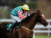 29 December 2010; Abroad, with Alan Crowe up, during The paddypower.com Android App Maiden Hurdle. Leopardstown Christmas Racing Festival 2010, Leopardstown Racecourse, Leopardstown, Dublin. Picture credit: Stephen McCarthy / SPORTSFILE