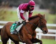 29 December 2010; First Lieutenant, with Davy Russell up, during The paddypowerpoker.com Future Champions Novice Hurdle. Leopardstown Christmas Racing Festival 2010, Leopardstown Racecourse, Leopardstown, Dublin. Picture credit: Stephen McCarthy / SPORTSFILE