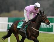 29 December 2010; Solwhit, with Davy Russell up, during the The paddypower.com iPhone App December Festival Hurdle. Leopardstown Christmas Racing Festival 2010, Leopardstown Racecourse, Leopardstown, Dublin. Picture credit: Stephen McCarthy / SPORTSFILE