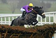 30 December 2010; Hidden Universe, with Robbie McNamara up, jumps the last on their way to winning The Bord na Mona Clean Water Maiden Hurdle. Leopardstown Christmas Racing Festival 2010, Leopardstown Racecourse, Leopardstown, Dublin. Picture credit: Stephen McCarthy / SPORTSFILE