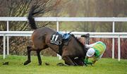 30 December 2010; Abbey Glen, with Andrias Guerin up, fall at the last during during The Bord na Mona Clean Energy Handicap Hurdle. Leopardstown Christmas Racing Festival 2010, Leopardstown Racecourse, Leopardstown, Dublin. Picture credit: Stephen McCarthy / SPORTSFILE