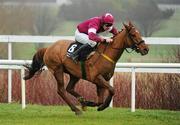 30 December 2010; Joe Smooth, with Davy Russell up, during The Bord na Mona Clean Water Maiden Hurdle. Leopardstown Christmas Racing Festival 2010, Leopardstown Racecourse, Leopardstown, Dublin. Picture credit: Stephen McCarthy / SPORTSFILE