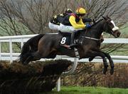 30 December 2010; Kristal Komet, with Paul Townend up, during The Bord na Mona Fire Magic Juvenile Hurdle. Leopardstown Christmas Racing Festival 2010, Leopardstown Racecourse, Leopardstown, Dublin. Picture credit: Stephen McCarthy / SPORTSFILE