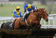 30 December 2010; Concrete And Clay, with David Casey up, during The Bord na Mona Clean Energy Handicap Hurdle. Leopardstown Christmas Racing Festival 2010, Leopardstown Racecourse, Leopardstown, Dublin. Picture credit: Stephen McCarthy / SPORTSFILE