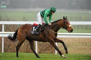 30 December 2010; Saint By Day, with Paddy Flood up, during The Bord na Mona Clean Water Maiden Hurdle. Leopardstown Christmas Racing Festival 2010, Leopardstown Racecourse, Leopardstown, Dublin. Picture credit: Stephen McCarthy / SPORTSFILE