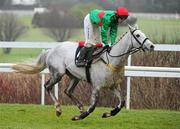 30 December 2010; Miss Fancy Pants, with Paul Carberry up, during The Bord na Mona Clean Energy Handicap Hurdle. Leopardstown Christmas Racing Festival 2010, Leopardstown Racecourse, Leopardstown, Dublin. Picture credit: Stephen McCarthy / SPORTSFILE