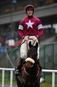 30 December 2010; Gates Of Rome, with Davy Russell up, canter to the star ahead of The Bord na Mona With Nature Novice Steeplechase. Leopardstown Christmas Racing Festival 2010, Leopardstown Racecourse, Leopardstown, Dublin. Picture credit: Stephen McCarthy / SPORTSFILE