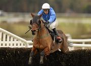 31 December 2010; Gentleman Jim, with Joe Doyle up, jumps the last on their way to winning the Buy Your Punchestown 2011 Annual Membership Handicap Steeplechase. Punchestown Racecourse, Punchestown, Co. Kildare. Photo by Sportsfile