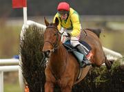 31 December 2010; Royal De la Thinte, with Andrew Lynch up, jumps the last on their way to winning the Punchestown Hospitality Beginners Steeplechase. Punchestown Racecourse, Punchestown, Co. Kildare. Photo by Sportsfile