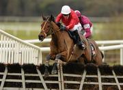 31 December 2010; Jumbo Rio, with Andrew Mcnamara up, jumps the last on their way to winning the Follow Punchestown Facebook Hurdle. Punchestown Racecourse, Punchestown, Co. Kildare. Photo by Sportsfile