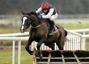 31 December 2010; Unaccompanied, with Paul Townend up, jumps the last on their way to winning the Festival Hospitality On Sale 3-Y-O Maiden Hurdle. Punchestown Racecourse, Punchestown, Co. Kildare. Photo by Sportsfile