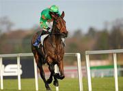 28 December 2010; Bailey Green, with Davy Condon up, during The Madigans Maiden Hurdle. Leopardstown Christmas Racing Festival 2010, Leopardstown Racecourse, Leopardstown, Dublin. Picture credit: Barry Cregg / SPORTSFILE