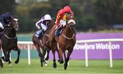 10 September 2016; Zhukova, with Pat Smullen up, on their way to winning the KPMG Enterprise Stakes at Leopardstown Racecourse in Dublin. Photo by Matt Browne/Sportsfile