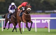 10 September 2016; Zhukova, with Pat Smullen up, on their way to winning the KPMG Enterprise Stakes at Leopardstown Racecourse in Dublin. Photo by Matt Browne/Sportsfile