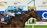 10 September 2016; Almanzor, with Christophe Soumillon up, on their way to winning the QIPCO Irish Champion Stakes at Leopardstown Racecourse in Dublin. Photo by Cody Glenn/Sportsfile
