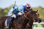 10 September 2016; Almanzor, with Christophe Soumillon up, on their way to winning the QIPCO Irish Champion Stakes from second place Found with Frankie Dettori at Leopardstown Racecourse in Dublin. Photo by Matt Browne/Sportsfile