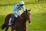 10 September 2016; Almanzor, with Christophe Soumillon, up, celebrates winning the QIPCO Irish Champion Stakes at Leopardstown Racecourse in Dublin. Photo by David Fitzgerald/Sportsfile