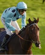 10 September 2016; Almanzor, with Christophe Soumillon, up, celebrates winning the QIPCO Irish Champion Stakes at Leopardstown Racecourse in Dublin. Photo by David Fitzgerald/Sportsfile
