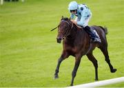 10 September 2016; Almanzor, with Christophe Soumillon up, on their way to winning the QIPCO Irish Champion Stakes at Leopardstown Racecourse in Dublin. Photo by David Fitzgerald/Sportsfile