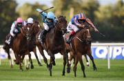 10 September 2016; Almanzor, with Christophe Soumillon up, on their way to winning the QIPCO Irish Champion Stakes from second place Found with Frankie Dettori up, at Leopardstown Racecourse in Dublin. Photo by Matt Browne/Sportsfile