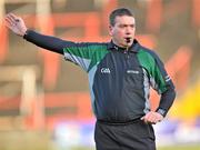 9 January 2011; Referee Joe Curley. O'Byrne Cup, Laois v Wicklow, O'Moore Park, Portlaoise, Co. Laois. Picture credit: David Maher / SPORTSFILE