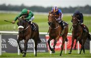 11 September 2016; Shamreen, with Pat Smullen up, races ahead of Best In The World, with Ryan Moore up, on their way to winning the Moyglare &quot;Jewels&quot; Blandford  Stakes during Irish Champion Weekend at The Curragh in Co. Kildare. Photo by Cody Glenn/Sportsfile