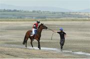 13 September 2016; Bush Warrior, with Emmet McNamara  up, is helped to the start of the At The Races Handicap during the Laytown Races in Laytown, Co Meath. Photo by David Maher/Sportsfile