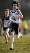 16 January 2011; Conor McCann, St. Malachy's AC, Co. Antrim, in action in the Boy's U-13 2500m race during the AAI Woodies DIY Novice and Juvenile Uneven Ages Cross Country Championships. Tullamore Harriers Stadium, Tullamore, Co. Offaly. Picture credit: Barry Cregg / SPORTSFILE