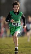 16 January 2011; Henry Spellman, Dublin, in action in the Boy's U-13 2500m race during the AAI Woodies DIY Novice and Juvenile Uneven Ages Cross Country Championships. Tullamore Harriers Stadium, Tullamore, Co. Offaly. Picture credit: Barry Cregg / SPORTSFILE
