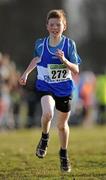 16 January 2011; Padhraic Patton, Finn Valley AC, Co. Donegal, in action in the Boy's U-13 2500m race during the AAI Woodies DIY Novice and Juvenile Uneven Ages Cross Country Championships. Tullamore Harriers Stadium, Tullamore, Co. Offaly. Picture credit: Barry Cregg / SPORTSFILE