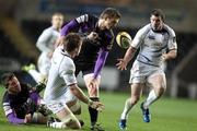 28 November 2010; Dominic Ryan, Leinster, gets the ball away to Fergus McFadden despite the attentions of the Ospreys defence. Celtic League, Ospreys v Leinster, Liberty Stadium, Swansea, Wales. Picture credit: Steve Pope / SPORTSFILE
