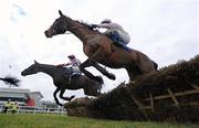 23 January 2011; Day of A Lifetime, with Paul Townend up, jump the first on the way to winning the Frank Conroy Memorial Maiden Hurdle with What A Charm, far side, with Paddy Flood up. Leopardstown, Co. Dublin. Picture credit: Matt Browne / SPORTSFILE