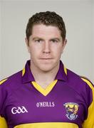 20 May 2010; Paul Roche, Wexford. Wexford Senior Hurling Squad Portraits 2010, Nowlan Park, Kilkenny. Picture credit: David Maher / SPORTSFILE