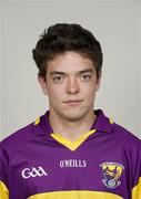20 May 2010; Mark Molloy, Wexford. Wexford Senior Hurling Squad Portraits 2010, Nowlan Park, Kilkenny. Picture credit: David Maher / SPORTSFILE
