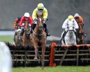 28 Janurary 2011; Mourad, with Paul Townend up, jumps the last on their way to winning the Galmoy Hurdle. Gowran Park, Co. Kilkenny. Picture credit: Matt Browne / SPORTSFILE