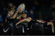 23 September 2016; Action from the Bank of Ireland Half-Time Mini Games featuring Dundalk RFC and Old Wesley RFC during the Guinness PRO12, Round 4, match between Leinster and Ospreys at the RDS Arena in Dublin. Photo by Piaras Ó Mídheach/Sportsfile