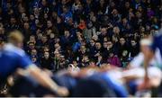 23 September 2016; Leinster supporters during the Guinness PRO12 match between Leinster and Ospreys at the RDS Arena in Dublin. Photo by Ramsey Cardy/Sportsfile