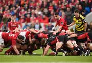 24 September 2016; Conor Murray of Munster prepares to put the ball into a scrum, alongside referee Ben Whitehouse, during the Guinness PRO12 Round 4 match between Munster and Edinburgh Rugby at Thomond Park in Limerick. Photo by Diarmuid Greene/Sportsfile