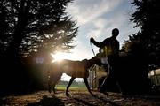 31 January 2011; Trainer Aukadiasz Gruszecki, walks Lucan Princess, before the start of the first round of the Greyhound and Pet World Oaks. 86th National Coursing Meeting, Powerstown Park, Clonmel, Co. Tipperary. Picture credit: David Maher / SPORTSFILE