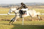 30 January 2011;  Earlson Gray, with Emmet Mullins up. Horse Racing, Punchestown Racecourse, Punchestown, Co. Kildare. Photo by Sportsfile