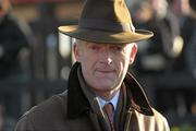 30 January 2011; Trainer Willie Mullins. Horse Racing, Punchestown Racecourse, Punchestown, Co. Kildare. Photo by Sportsfile
