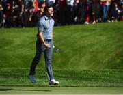2 October 2016; Rory McIlroy of Europe celebrates on the 8th green during the Singles match against Patrick Reed of USA at The 2016 Ryder Cup Matches at the Hazeltine National Golf Club in Chaska, Minnesota, USA. Photo by Ramsey Cardy/Sportsfile