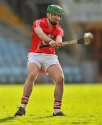 13 February 2011; William Egan, Cork. Allianz Hurling League, Division 1, Round 1, Cork v Offaly, Pairc Uí Chaoimh, Cork. Picture credit: David Maher / SPORTSFILE