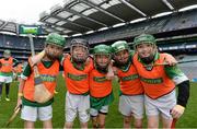 8 October 2016; Children from O'Toole's GAA in Dublin as Croke Park today played host to some of Ireland’s most talented hurlers, along with over 500 children, who lined-out to learn tips and skills from their hurling heroes as part of Centra’s Live Well hurling initiative. The participating children, who experienced a once in a lifetime opportunity, came from 12 lucky GAA clubs who each claimed their very special spot by winning a Live Well hurling challenge during the summer. Croke Park, Dublin. Photo by Piaras Ó Mídheach/Sportsfile