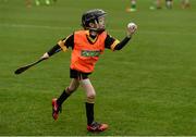 8 October 2016; Paddy Cash, age 8, from Adamstown GAA in Wexford, as Croke Park today played host to some of Ireland’s most talented hurlers, along with over 500 children, who lined-out to learn tips and skills from their hurling heroes as part of Centra’s Live Well hurling initiative. The participating children, who experienced a once in a lifetime opportunity, came from 12 lucky GAA clubs who each claimed their very special spot by winning a Live Well hurling challenge during the summer. Croke Park, Dublin. Photo by Piaras Ó Mídheach/Sportsfile