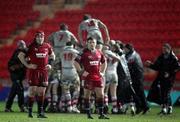 18 February 2011; Dejected Scarlets players look away as the Ulster squad celebrate following a last minute penalty kick to win the game. Celtic League, Scarlets v Ulster, Parc Y Scarlets, Llanelli, Wales. Picture credit: Steve Pope / SPORTSFILE