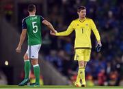 8 October 2016; Jonny Evans, left, and Michael McGovern of Northern Ireland high five after their victory following the FIFA World Cup Group C Qualifier match between Northern Ireland and San Marino at Windsor Park in Belfast. Photo by David Fitzgerald/Sportsfile