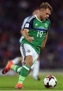 8 October 2016; Jamie Ward of Northern Ireland during the FIFA World Cup Group C Qualifier match between Northern Ireland and San Marino at Windsor Park in Belfast. Photo by David Fitzgerald/Sportsfile