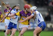 20 February 2011; Paul Roche, Wexford, in action against Stephen Molumphy, Waterford. Allianz Hurling League, Division 1 Round 2, Wexford v Waterford, Wexford Park, Wexford. Picture credit: Matt Browne / SPORTSFILE